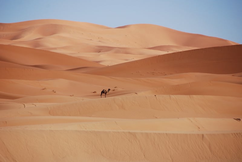 Morocco Streets
